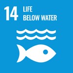 เป้าหมายที่ 14 ชีวิตในน้ำ (Life Below Water)